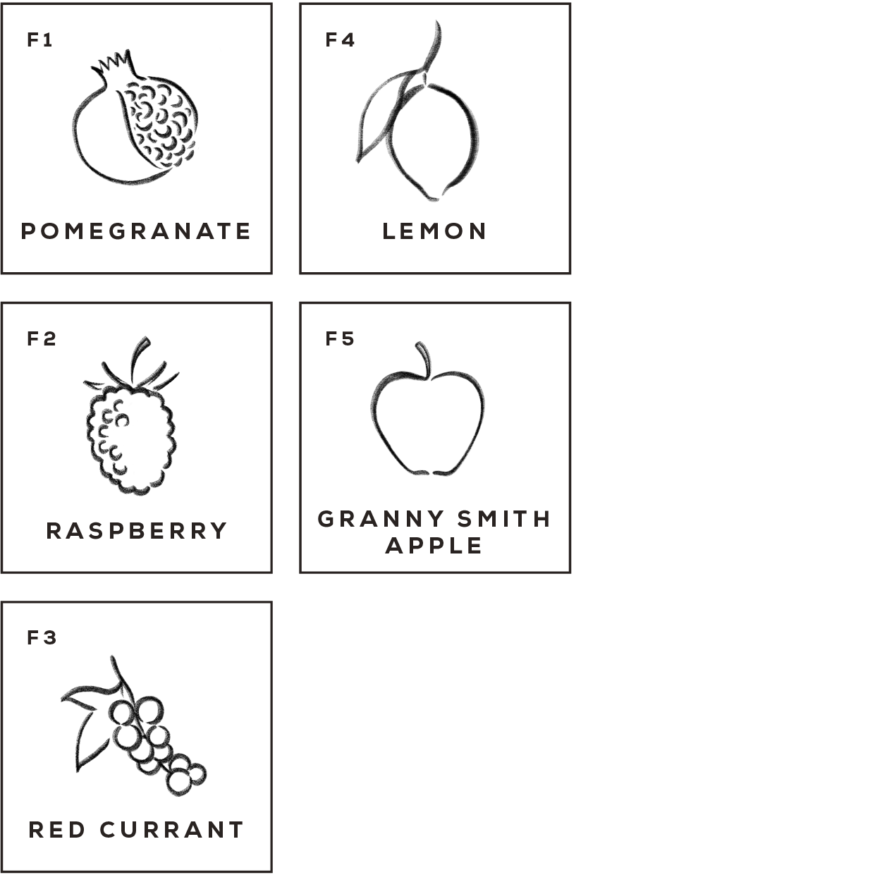 Ingredient Library - Fount Drinks